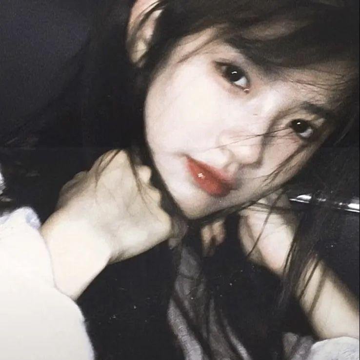 香港白蔷薇